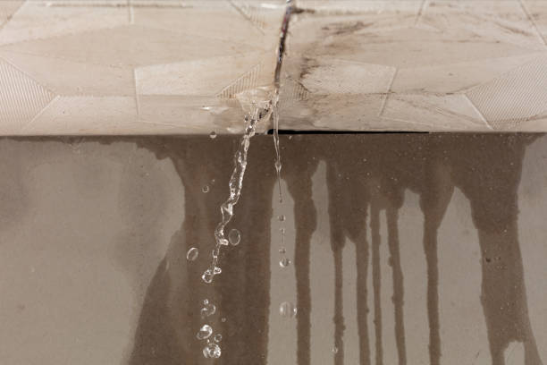 Professional Water Damage Inspection technician working in Malakoff, TX
